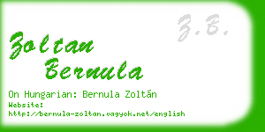 zoltan bernula business card